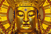 Golden Bhuda Photo