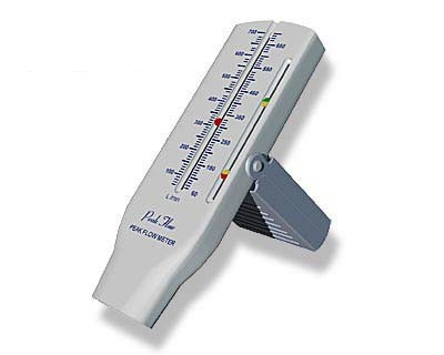 Picture of a peak flow measuring device